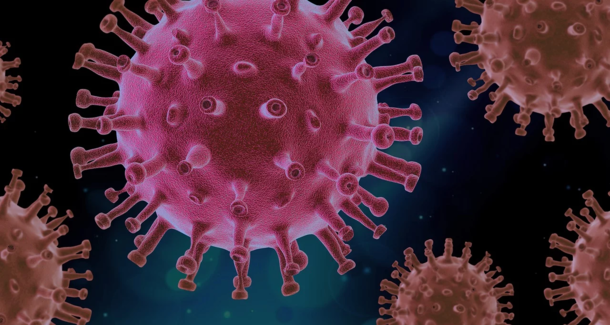 Little 12-year-old girl with ‘zero health issues’ fights for her life after testing positive for coronavirus - picture 4