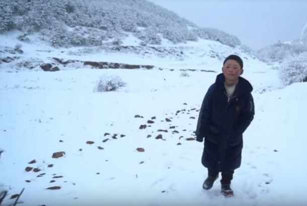Little 8-Year-Old Boy Shows Up To School With Frozen Head, Teacher Sees Something & Heart Breaks - picture 2