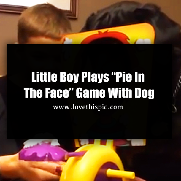 Little Boy Plays “Pie In The Face” Game With Dog