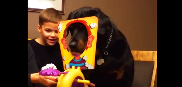 Little Boy Plays “Pie In The Face” Game With Dog - picture 2