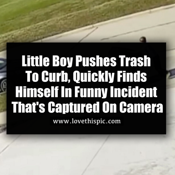 Little Boy Pushes Trash To Curb, Quickly Finds Himself In Funny Incident That's Captured On Camera