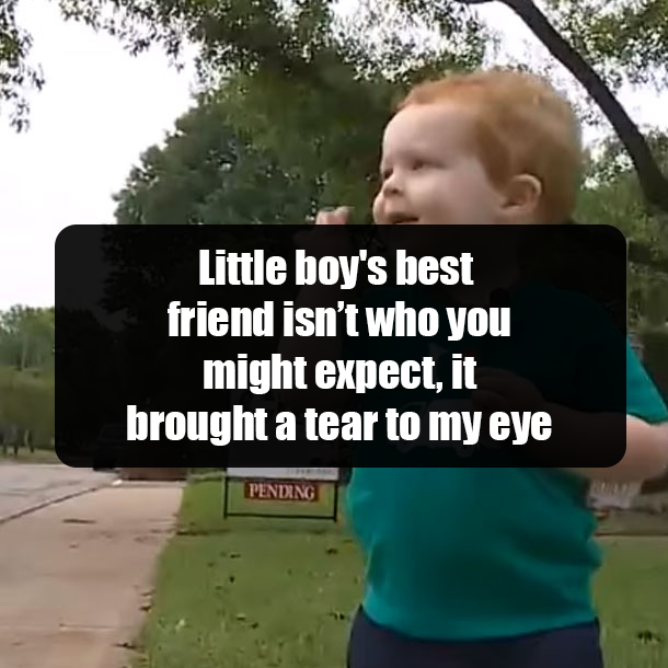 Little boy's best friend isn’t who you might expect, it brought a tear to my eye