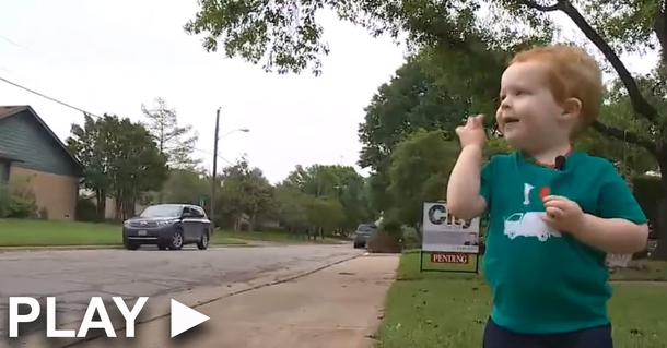 Little boy's best friend isn’t who you might expect, it brought a tear to my eye - picture 2