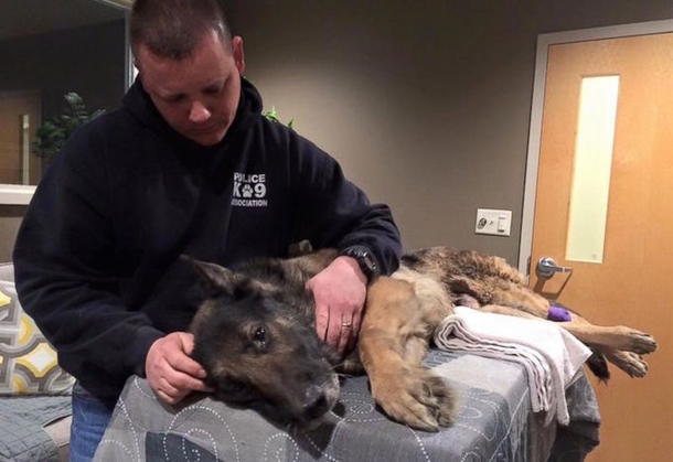Little Girl Donates Allowance To Help Buy K9s Bulletproof Vests - picture 3