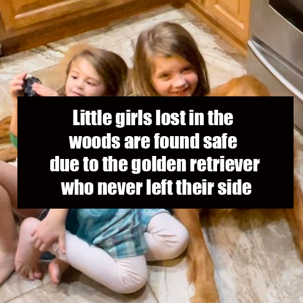 Little girls lost in the woods are found safe due to the golden retriever who never left their side
