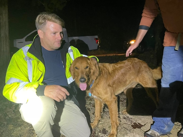 Little girls lost in the woods are found safe due to the golden retriever who never left their side - picture 3