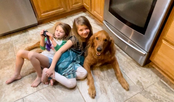 Little girls lost in the woods are found safe due to the golden retriever who never left their side - picture 4