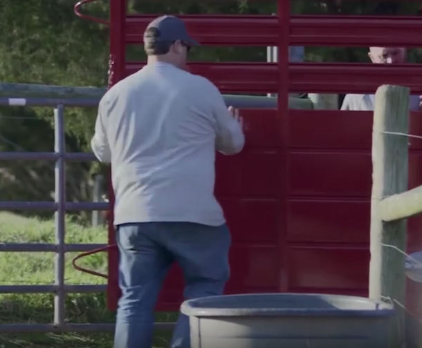 Lonely Cow Cries Nonstop Until Farmer Appears And Opens Something That Changes Everything - picture 4