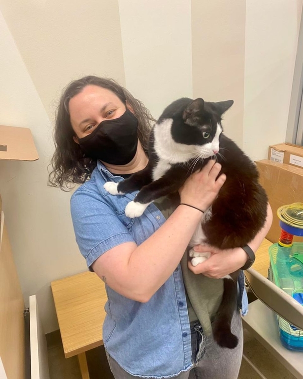 Lonely shelter cat waves to passerby from her kennel, then she's finally adopted - picture 4