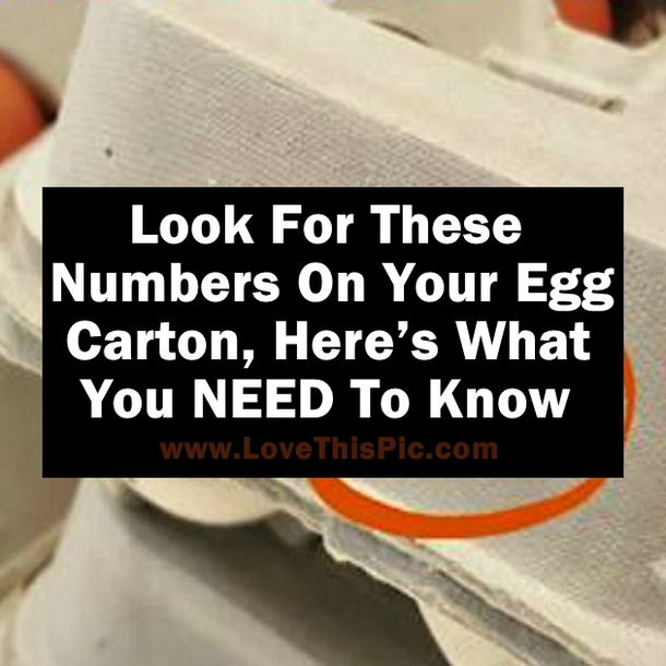 Look For These Numbers On Your Egg Carton, Here’s What You NEED To Know