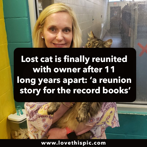 Lost cat is finally reunited with owner after 11 long years apart: ‘a reunion story for the record books’
