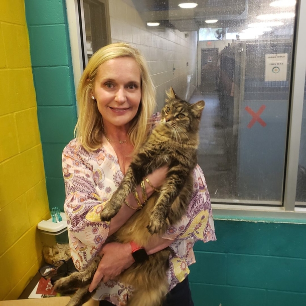 Lost cat is finally reunited with owner after 11 long years apart: ‘a reunion story for the record books’ - picture 2
