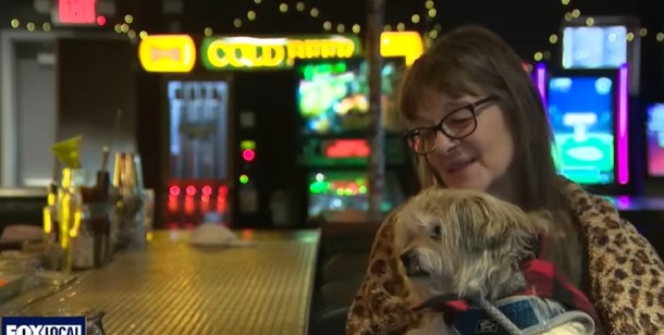Lost Dog Found Partying At the Local Bar: What Happened Next Will Amaze You! - picture 2
