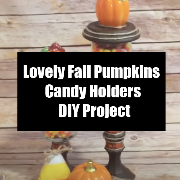 Lovely Fall Pumpkins Candy Holders DIY Project