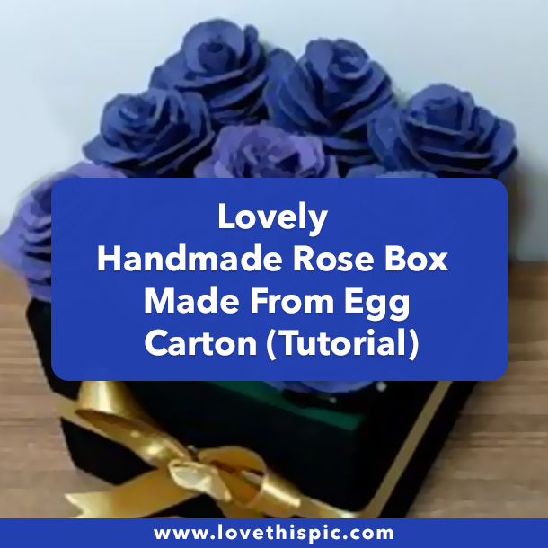 Lovely Handmade Rose Box Made From Egg Carton (Tutorial)