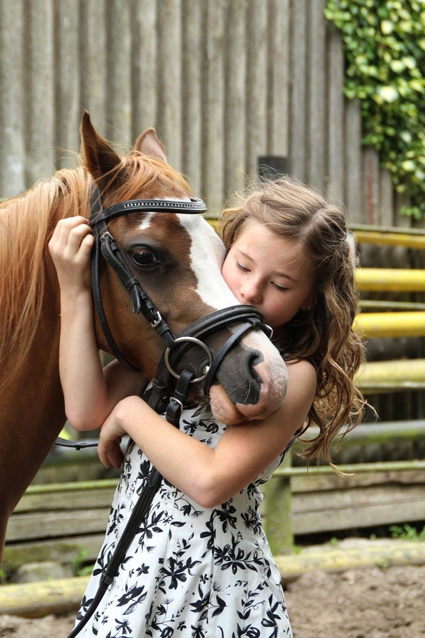 Lovely & Cute Animal Pictures To Warm Your Heart - picture 4