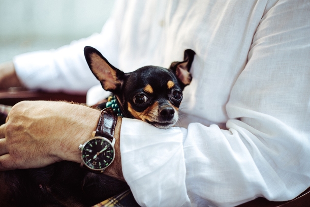 Lovely & Cute Animal Pictures To Warm Your Heart - picture 5