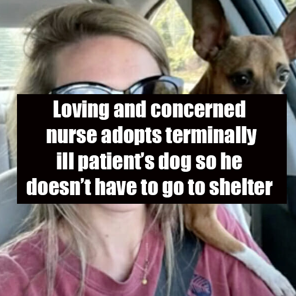 Loving and concerned nurse adopts terminally ill patient’s dog so he doesn’t have to go to shelter
