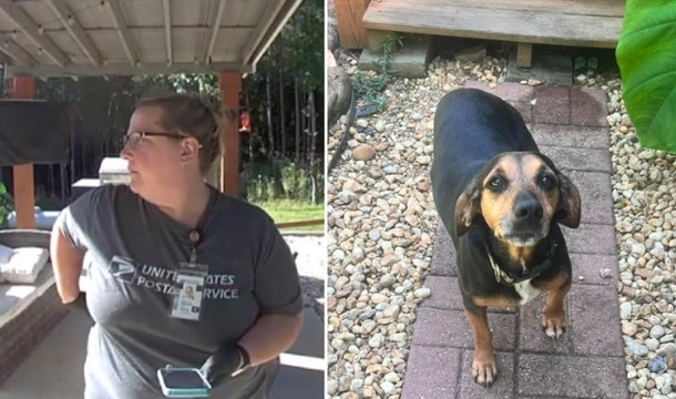 Mail-Lady Rushes Dog To Vet After Being Bit By A Snake, Alerts Family Via Doorbell Cam - picture 3