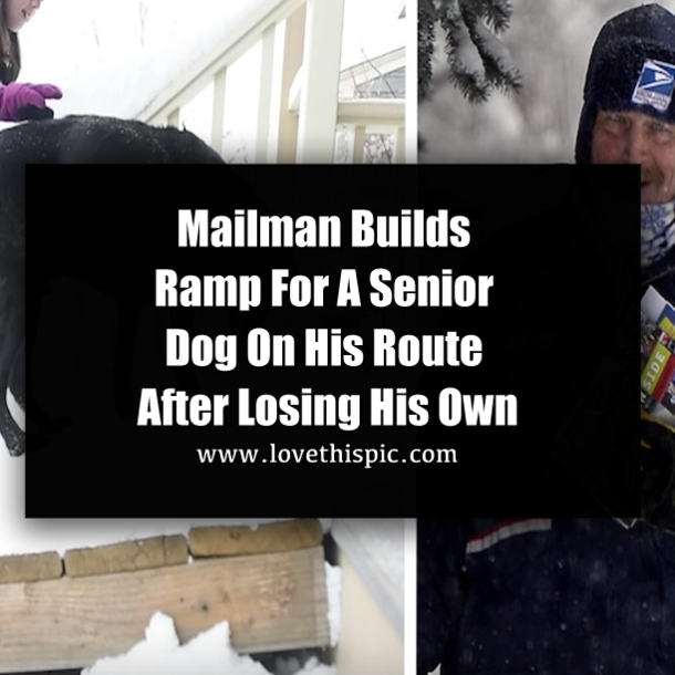 Mailman Builds Ramp For A Senior Dog On His Route After Losing His Own