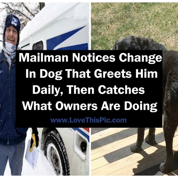 Mailman Notices Change In Dog That Greets Him Daily, Then Catches What Owners Are Doing