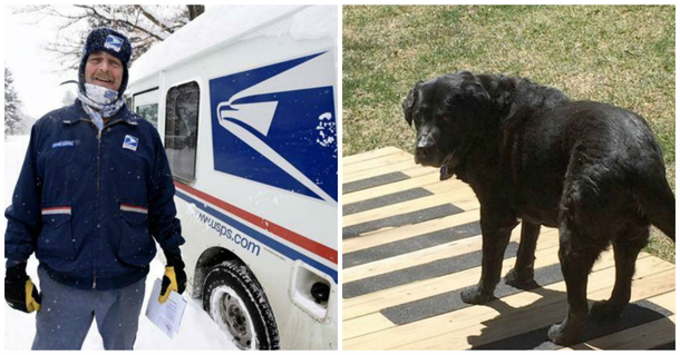Mailman Notices Change In Dog That Greets Him Daily, Then Catches What Owners Are Doing - picture 2
