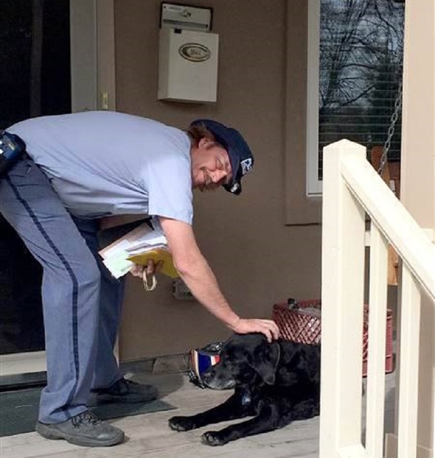 Mailman Notices Change In Dog That Greets Him Daily, Then Catches What Owners Are Doing - picture 3
