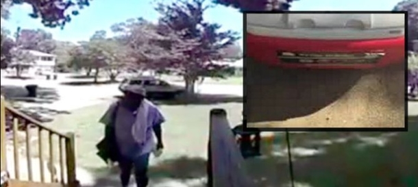 Mailman Sees Unattended Red Cooler, Is Shocked To Discover What It's Being Used For - picture 2