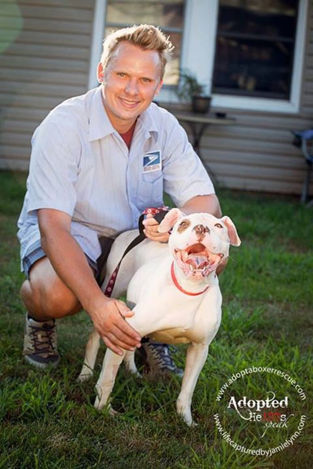 Mailman Stops After Seeing Dog Strapped To Tree, Once Her Looks At Her Face Knows He Has To Act FAST - picture 4