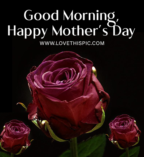Make Any Mother's Day With 100 Heartfelt Mother's Day Quotes, Messages, and Wishes for 2023! - picture 8
