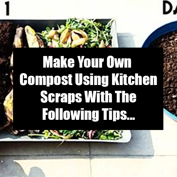 Make Your Own Compost Using Kitchen Scraps With The Following Tips...