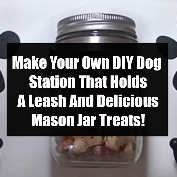 Make Your Own DIY Dog Station That Holds A Leash And Delicious Mason Jar Treats!