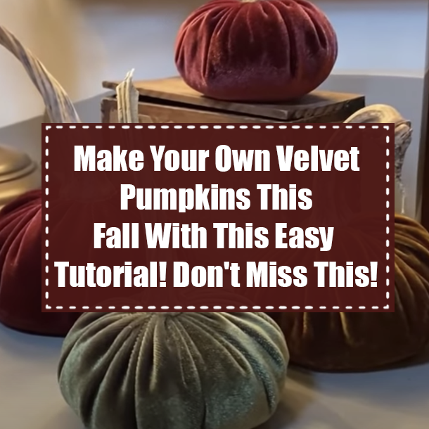 Make Your Own Velvet Pumpkins This Fall With This Easy Tutorial! Don't Miss This!