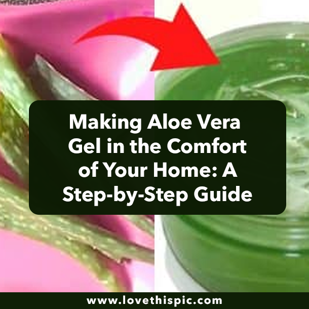 Making Aloe Vera Gel in the Comfort of Your Home: A Step-by-Step Guide