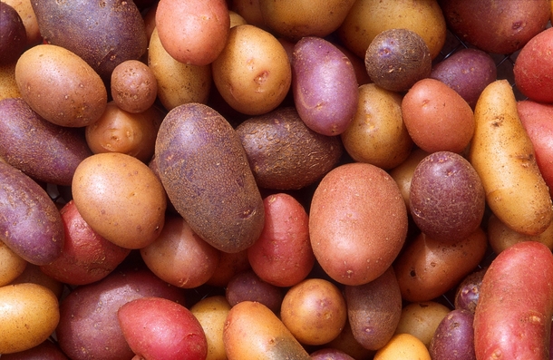 Making mixed vegetables? This healthy recipe is the only one you will ever need - picture 4