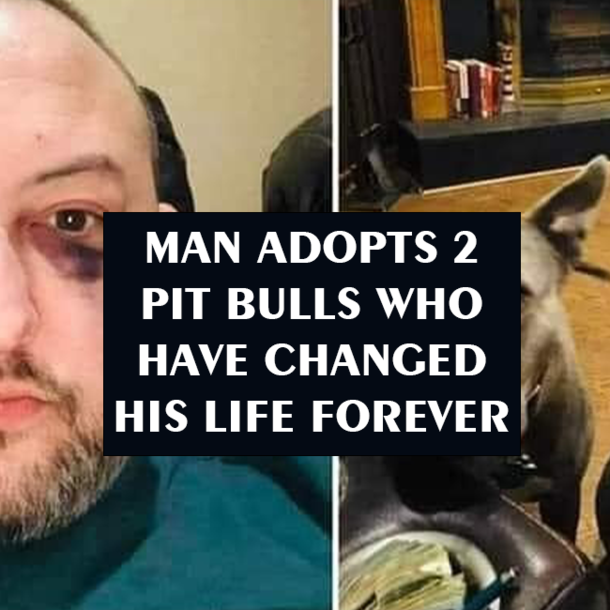 MAN ADOPTS 2 PIT BULLS WHO HAVE CHANGED HIS LIFE FOREVER