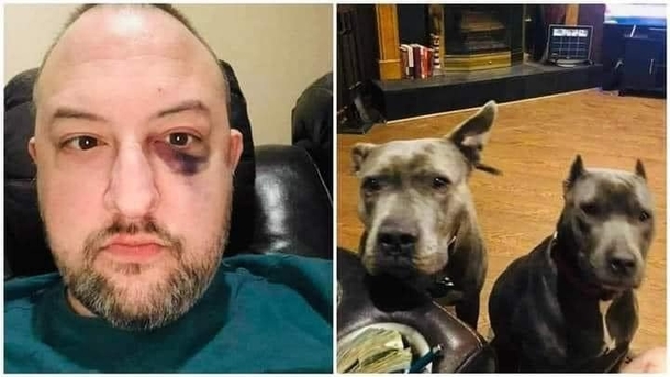 MAN ADOPTS 2 PIT BULLS WHO HAVE CHANGED HIS LIFE FOREVER - picture 2