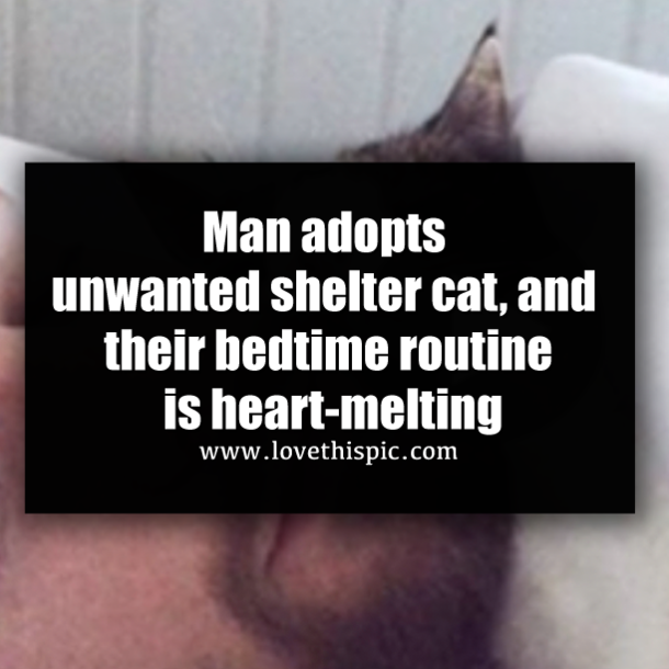 Man adopts unwanted shelter cat, and their bedtime routine is heart-melting