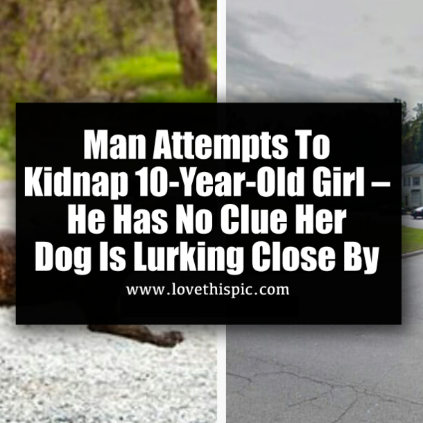 Man Attempts To Kidnap 10-Year-Old Girl – He Has No Clue Her Dog Is Lurking Close By