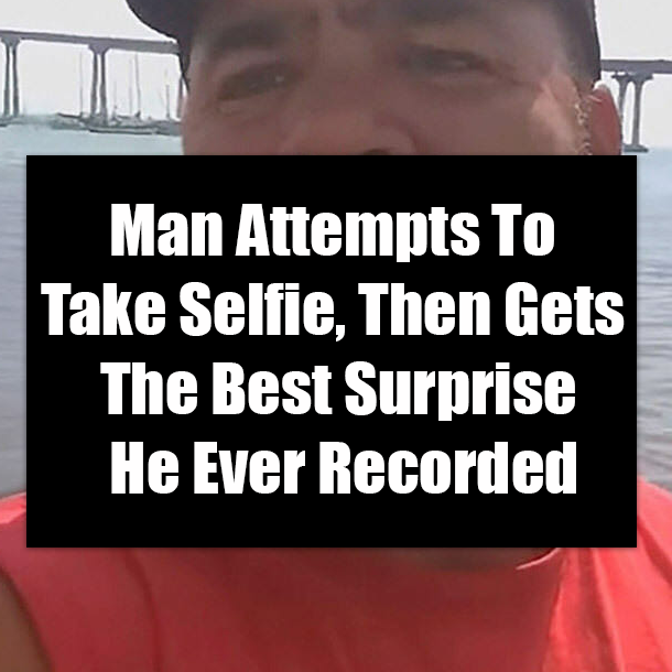 Man Attempts To Take Selfie, Then Gets The Best Surprise He's Ever Recorded