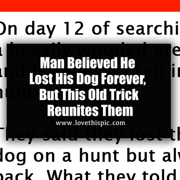 Man Believed He Lost His Dog Forever, But This Old Trick Reunites Them