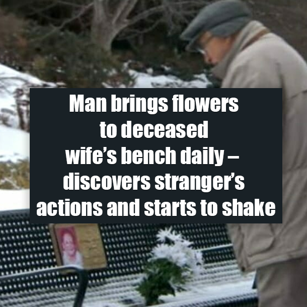 Man brings flowers to deceased wife’s bench daily – discovers stranger’s actions and starts to shake