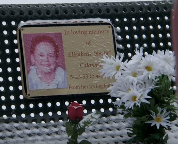 Man brings flowers to deceased wife’s bench daily – discovers stranger’s actions and starts to shake - picture 3