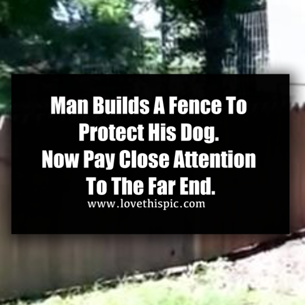 Man Builds A Fence To Protect His Dog. Now Pay Close Attention To The Far End.