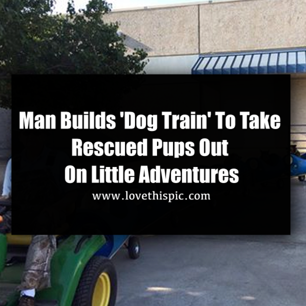 Man Builds 'Dog Train' To Take Rescued Pups Out On Little Adventures