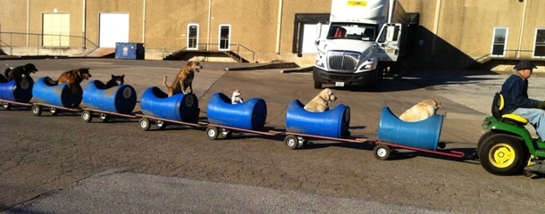 Man Builds 'Dog Train' To Take Rescued Pups Out On Little Adventures - picture 2