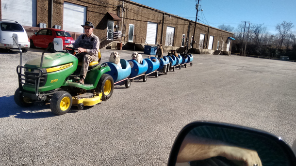 Man Builds 'Dog Train' To Take Rescued Pups Out On Little Adventures - picture 3
