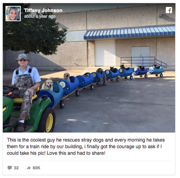 Man Builds 'Dog Train' To Take Rescued Pups Out On Little Adventures - picture 5