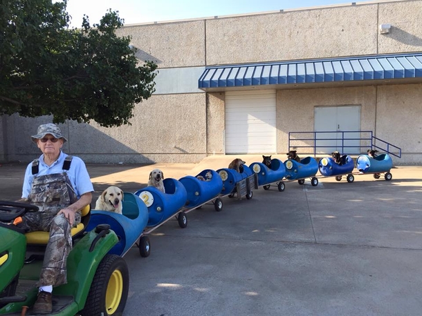 Man Builds 'Dog Train' To Take Rescued Pups Out On Little Adventures - picture 6