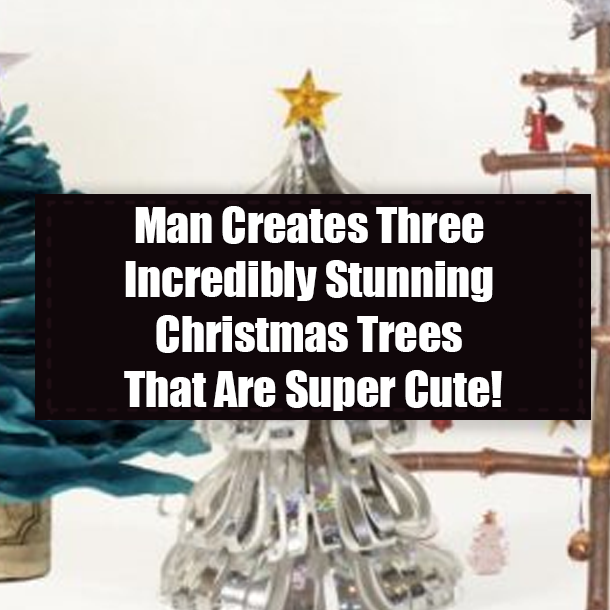 Man Creates Three Incredibly Stunning Christmas Trees That Are Super Cute!